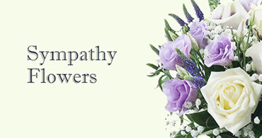 Sympathy Flowers Hounslow